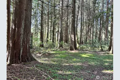0 Lot 31 NW Lakeness, Poulsbo, WA 98370 - Photo 15