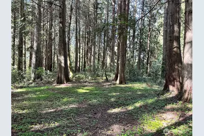 0 Lot 31 NW Lakeness, Poulsbo, WA 98370 - Photo 13