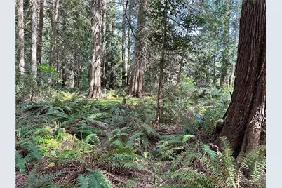0 Lot 31 NW Lakeness, Poulsbo, WA 98370 - Photo 5