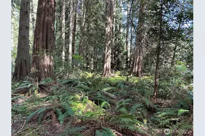 0 Lot 31 NW Lakeness, Poulsbo, WA 98370 - Photo 3