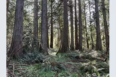 0 Lot 31 NW Lakeness, Poulsbo, WA 98370 - Photo 9