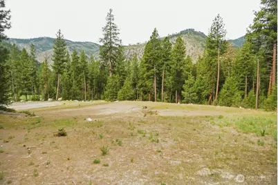 4 Lot Mossback Lane, Entiat, WA 98822 - Photo 5
