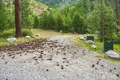 4 Lot Mossback Lane, Entiat, WA 98822 - Photo 9