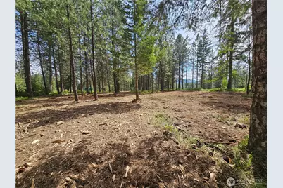 0 Lot 24 Couples Pl, Chewelah, WA 99109 - Photo 11