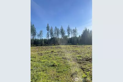 14253 W Cloquallum Road, Elma, WA 98546 - Photo 7