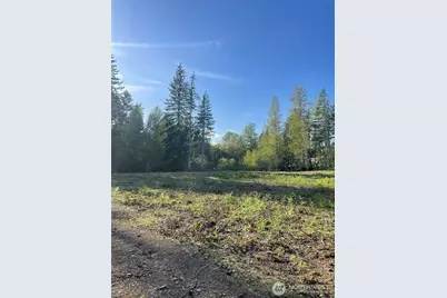 14253 W Cloquallum Road, Elma, WA 98546 - Photo 19