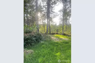 14253 W Cloquallum Road, Elma, WA 98546 - Photo 31