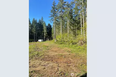 14253 W Cloquallum Road, Elma, WA 98546 - Photo 13