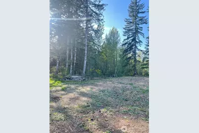 14253 W Cloquallum Road, Elma, WA 98546 - Photo 21
