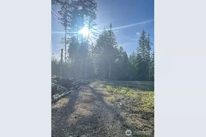 14253 W Cloquallum Road, Elma, WA 98546 - Photo 17