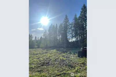 14253 W Cloquallum Road, Elma, WA 98546 - Photo 11