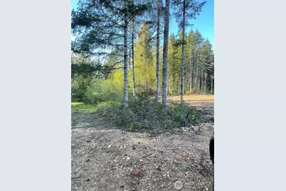 14253 W Cloquallum Road, Elma, WA 98546 - Photo 25