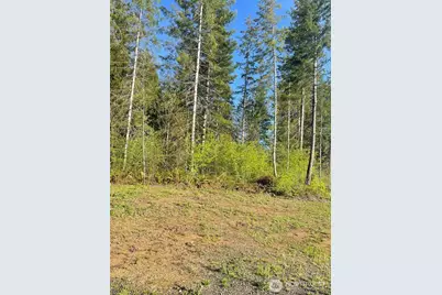 14253 W Cloquallum Road, Elma, WA 98546 - Photo 5