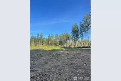 14253 W Cloquallum Road, Elma, WA 98546 - Photo 27