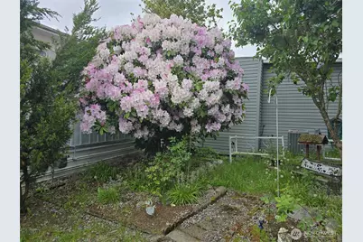 3212 S 182nd Place #193, SeaTac, WA 98188 - Photo 19
