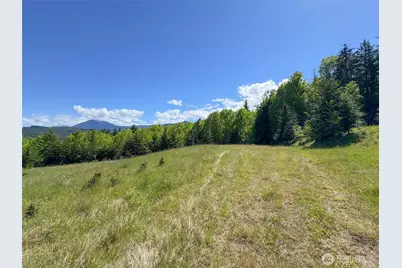9999 Kruse Road, Port Angeles, WA 98362 - Photo 21