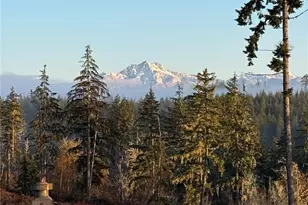 161 NE Belfair View Rd, Belfair, WA 98528 - Photo 37
