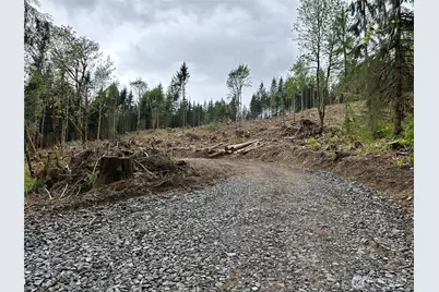0 S Carpenter Road, Snohomish, WA 98280 - Photo 1