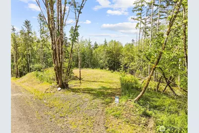120 E Cascara Cove Lane, Shelton, WA 98584 - Photo 11