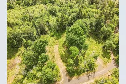 131 E Cascara Cove Lane, Shelton, WA 98584 - Photo 3