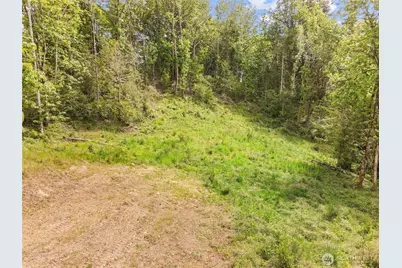171 E Cascara Cove Lane, Shelton, WA 98584 - Photo 3