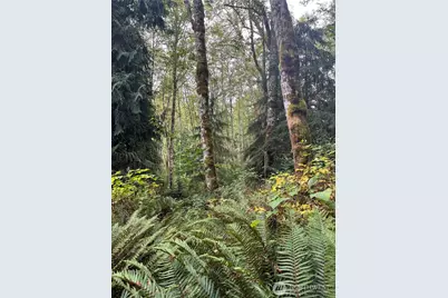 52914 131st Ave E, Eatonville, WA 98328 - Photo 11