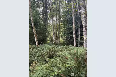 52914 131st Ave E, Eatonville, WA 98328 - Photo 7
