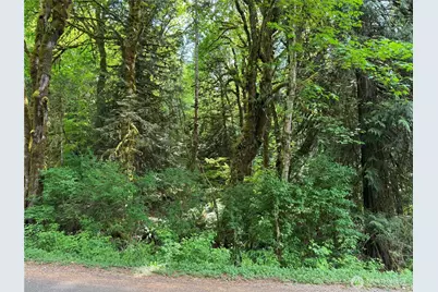 1111 Mountain Trail Road, Brinnon, WA 98320 - Photo 7