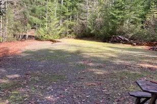 100 N Dow Mountain Dr, Hoodsport, WA 98548 - Photo 1