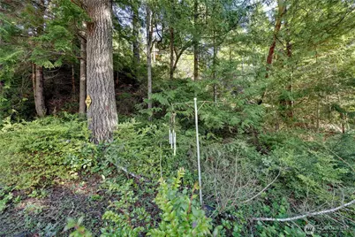 170 Cirque Drive, Brinnon, WA 98320 - Photo 21