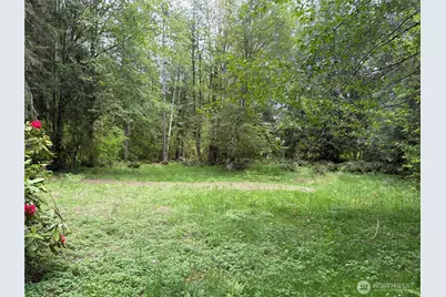 3263 Duckabush Road, Brinnon, WA 98320 - Photo 3