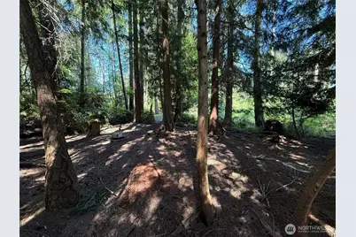 5860 Fish Road, Freeland, WA 98249 - Photo 13
