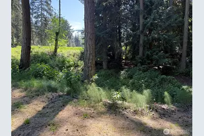 5860 Fish Road, Freeland, WA 98249 - Photo 3