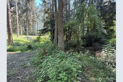 5860 Fish Road, Freeland, WA 98249 - Photo 9