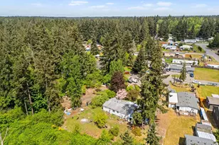 4210 252nd St Ct E, Spanaway, WA 98387 - Photo 31