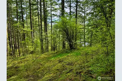 0 Xxx Garden Lane, Orcas Island, WA 98279 - Photo 1