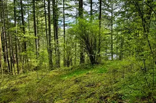 0 Xxx Garden Ln, Orcas Island, WA 98279 - Photo 1