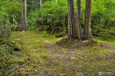0 Xxx Garden Lane, Orcas Island, WA 98279 - Photo 5