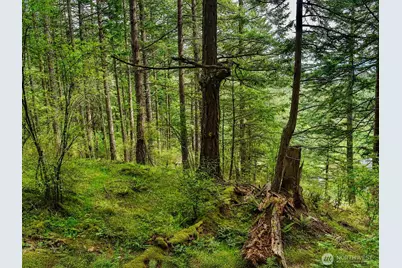 0 Xxx Garden Lane, Orcas Island, WA 98279 - Photo 33