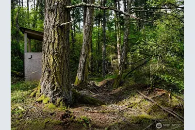 0 Xxx Garden Lane, Orcas Island, WA 98279 - Photo 11