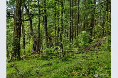 0 Xxx Garden Lane, Orcas Island, WA 98279 - Photo 27