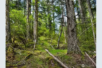 0 Xxx Garden Lane, Orcas Island, WA 98279 - Photo 23
