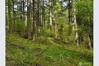 0 Xxx Garden Lane, Orcas Island, WA 98279 - Photo 25