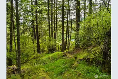0 Xxx Garden Lane, Orcas Island, WA 98279 - Photo 7