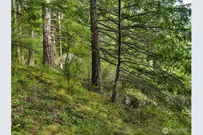 0 Xxx Garden Lane, Orcas Island, WA 98279 - Photo 29