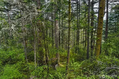 0 Xxx Garden Lane, Orcas Island, WA 98279 - Photo 9