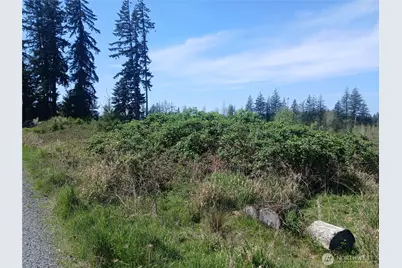 123 Meier Road, Winlock, WA 98596 - Photo 11
