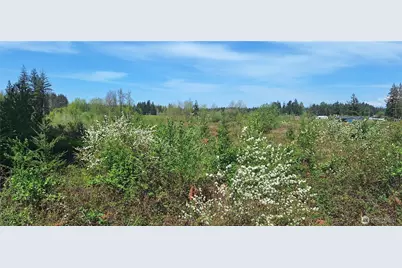 123 Meier Road, Winlock, WA 98596 - Photo 21