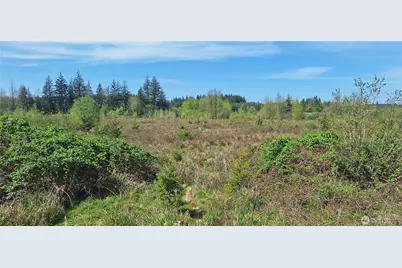 123 Meier Road, Winlock, WA 98596 - Photo 5