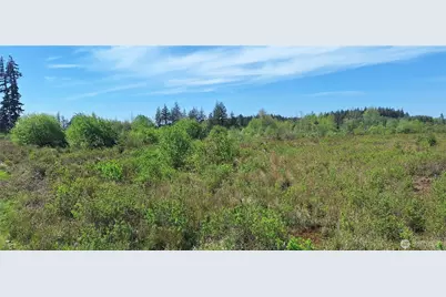 123 Meier Road, Winlock, WA 98596 - Photo 1